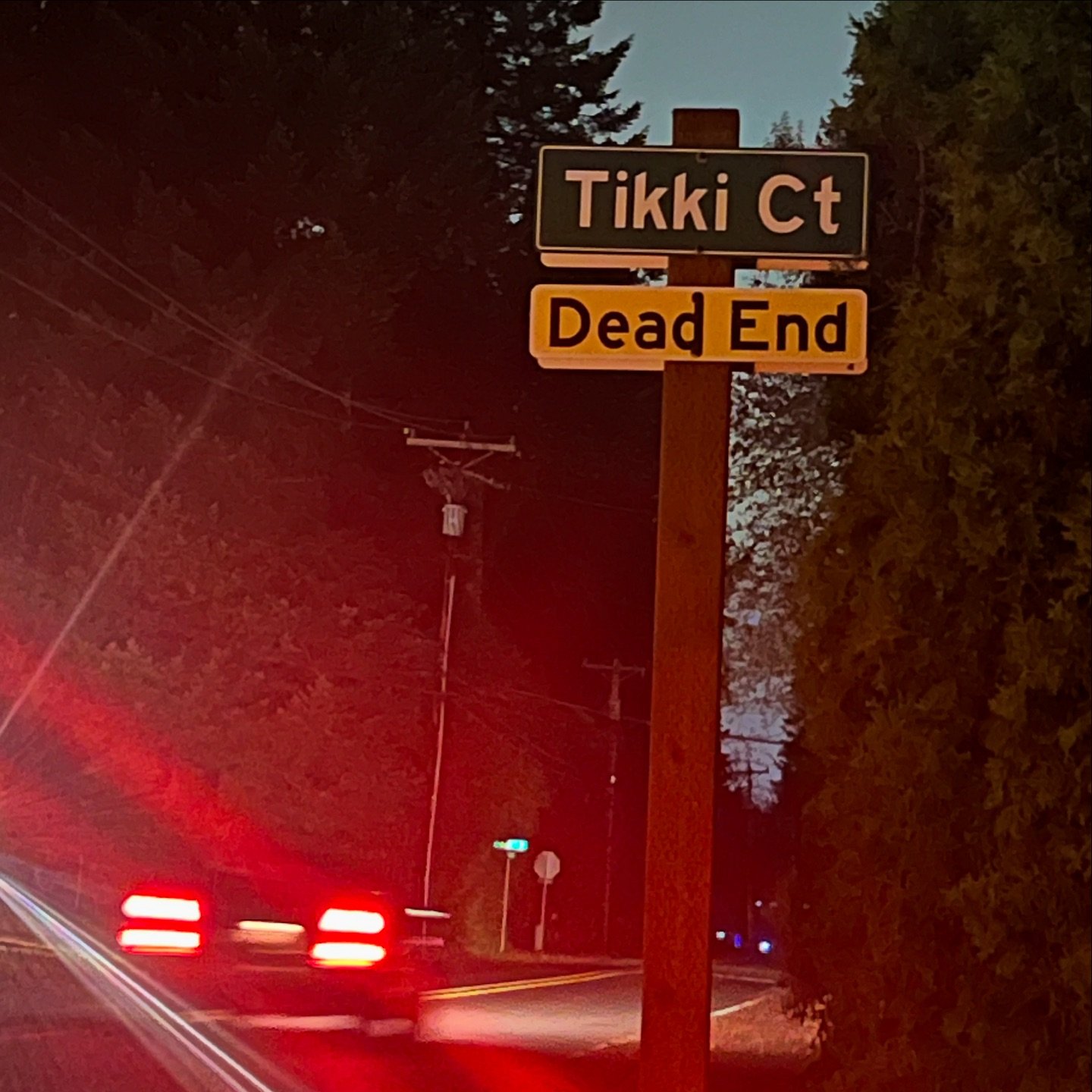 Tikki Forever 🗿🌺
.
.
.
.
.
#TikkiCourt #TikkiCourtLives #Thankful #tiki #deadend