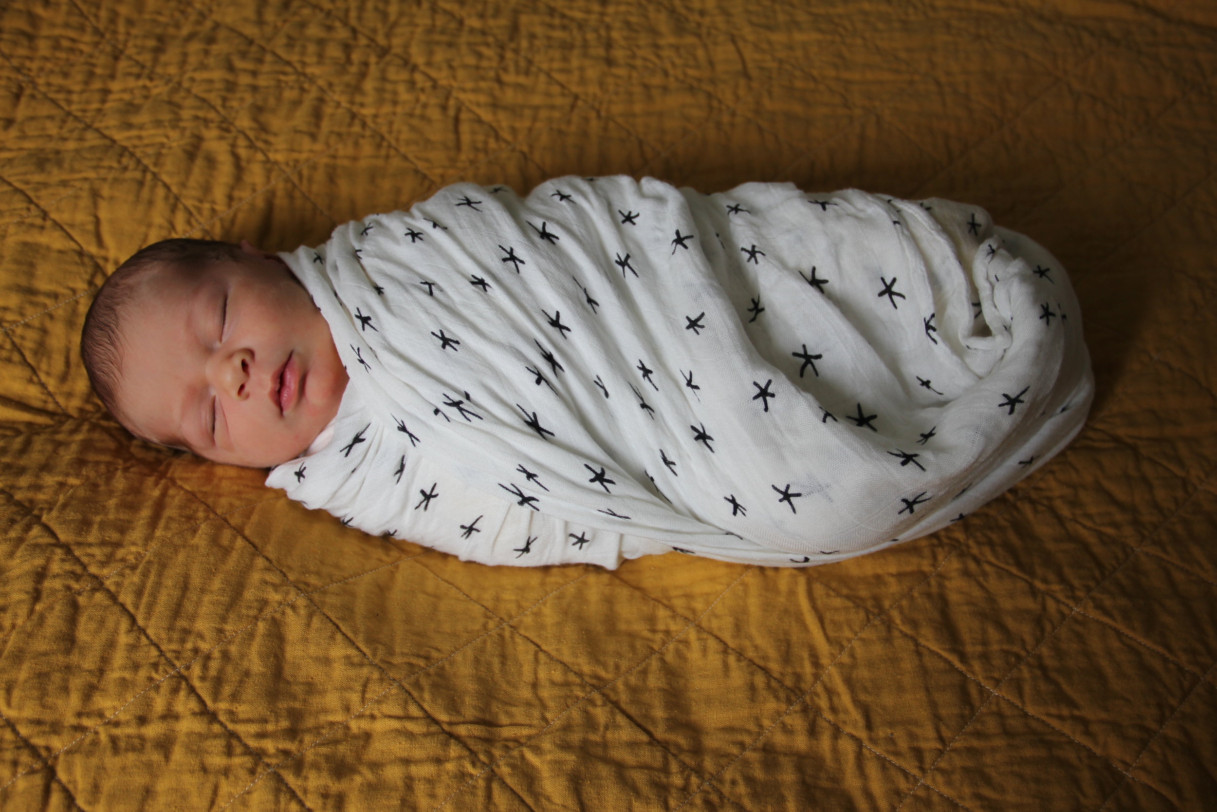 New to the world.