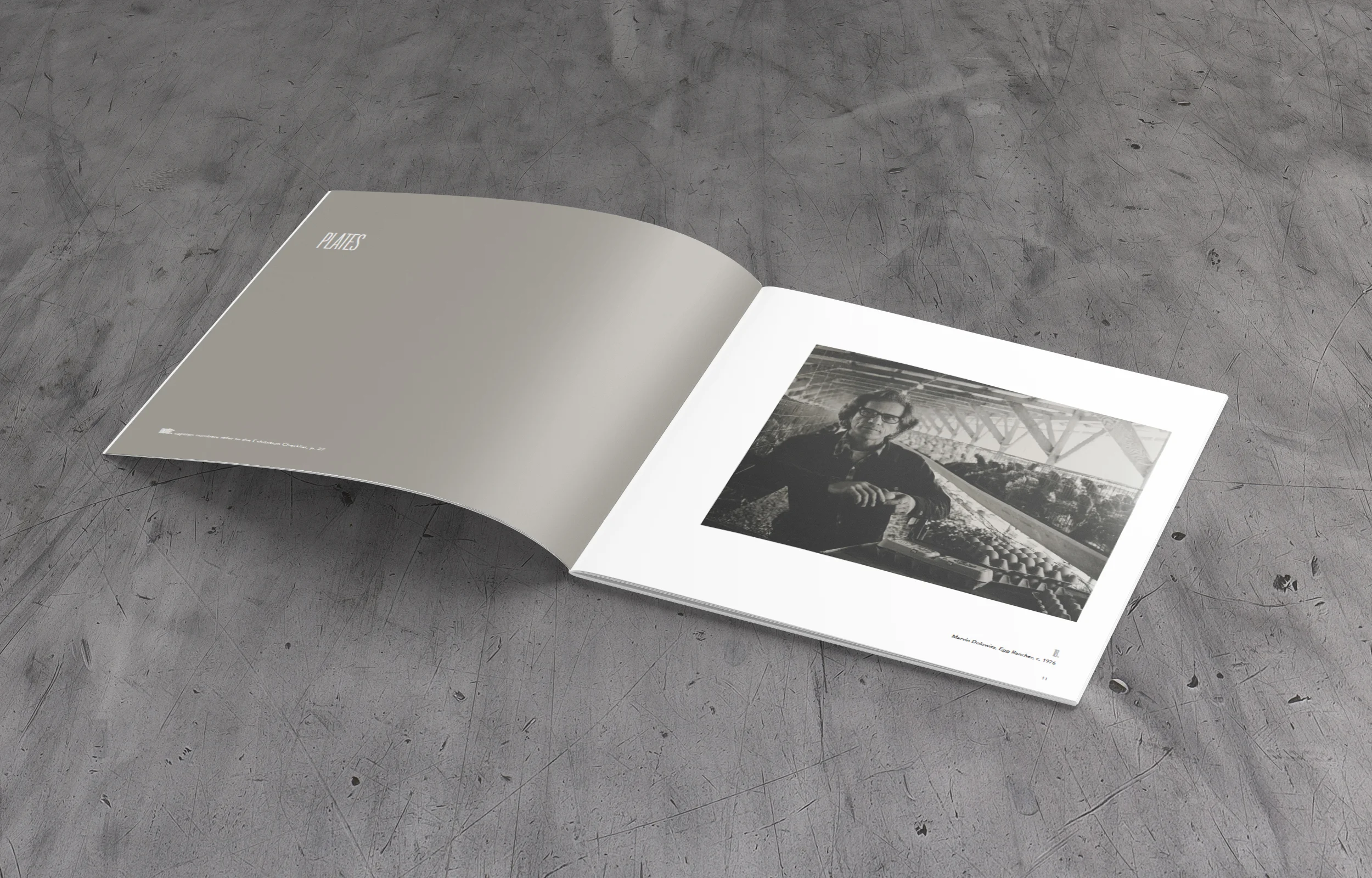 Camhi_Catalog_Mockup_3.jpg