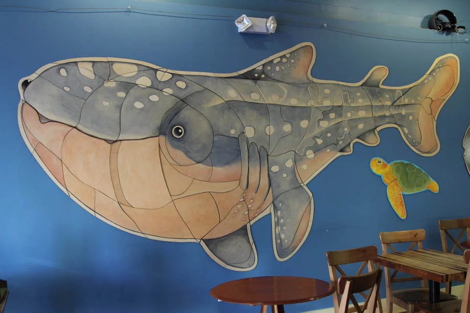whale-shark.jpg