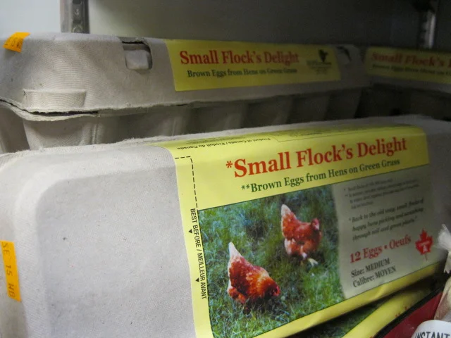 Eggs - Fresh or Stale?