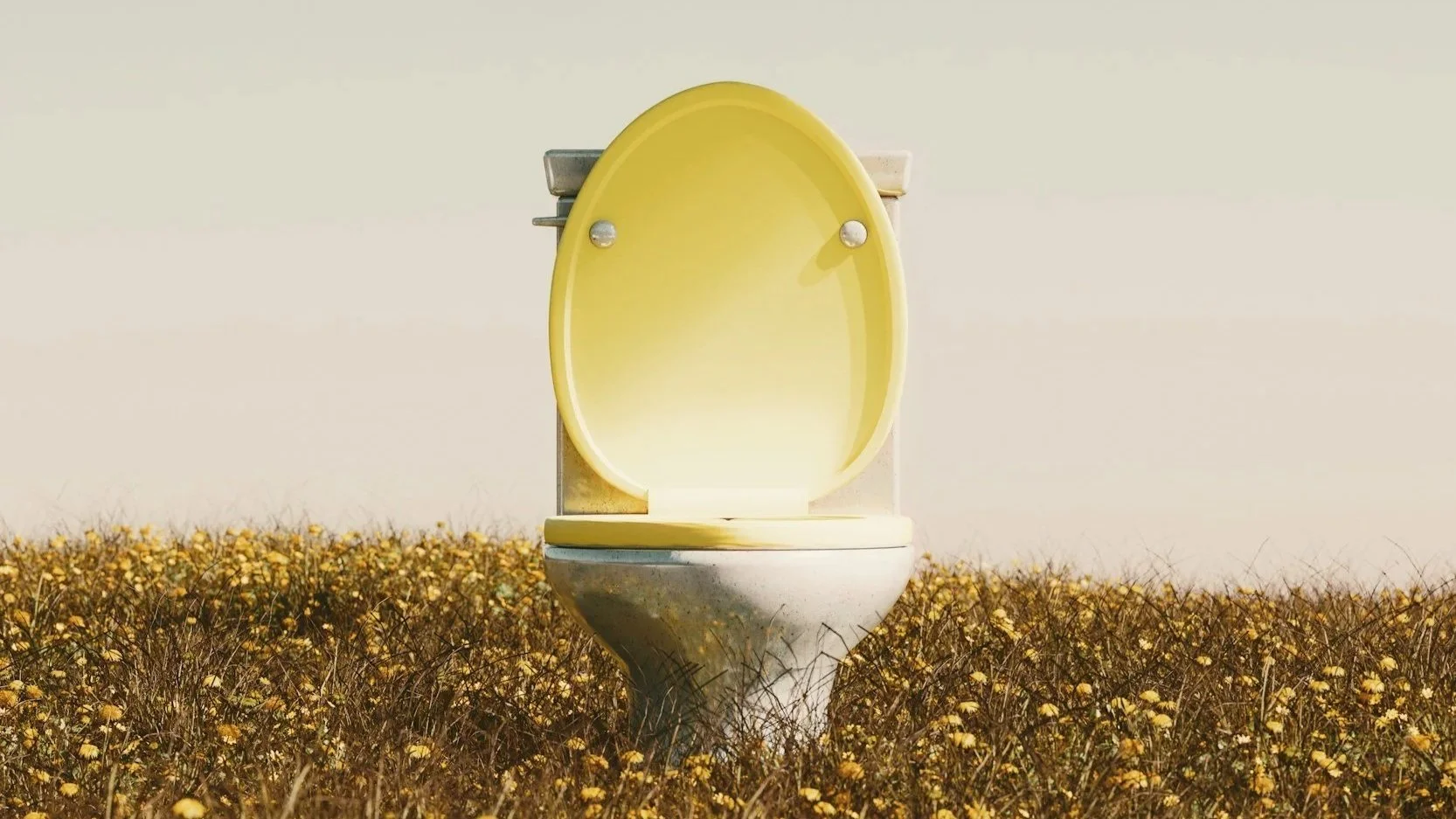 yellow toilet in a field - constipation and sluggish bowels