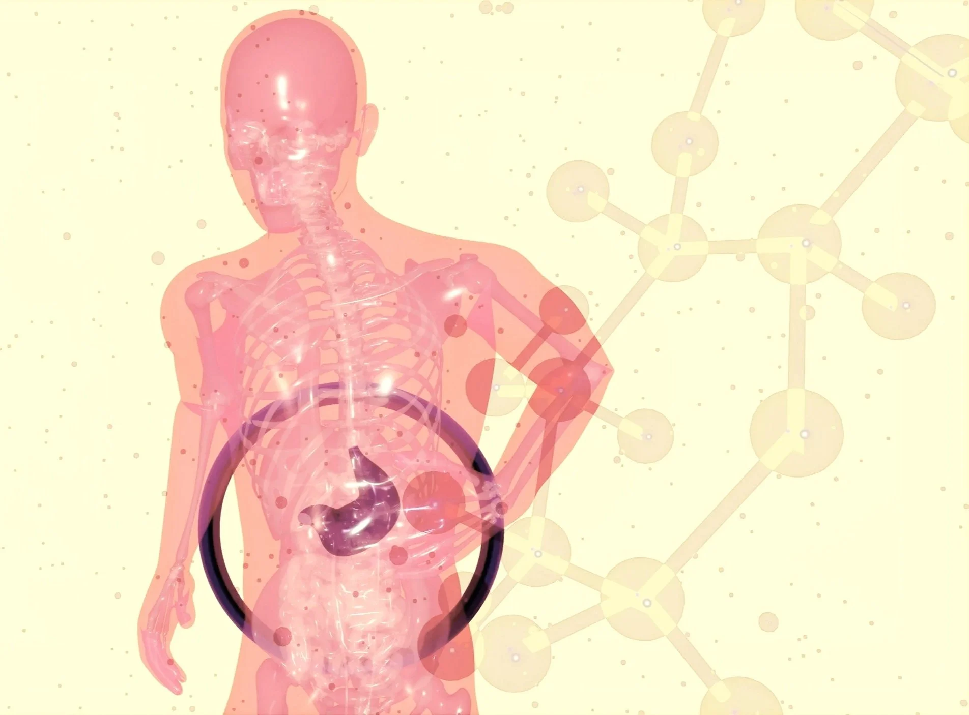 Supporting children’s immunity through gut health