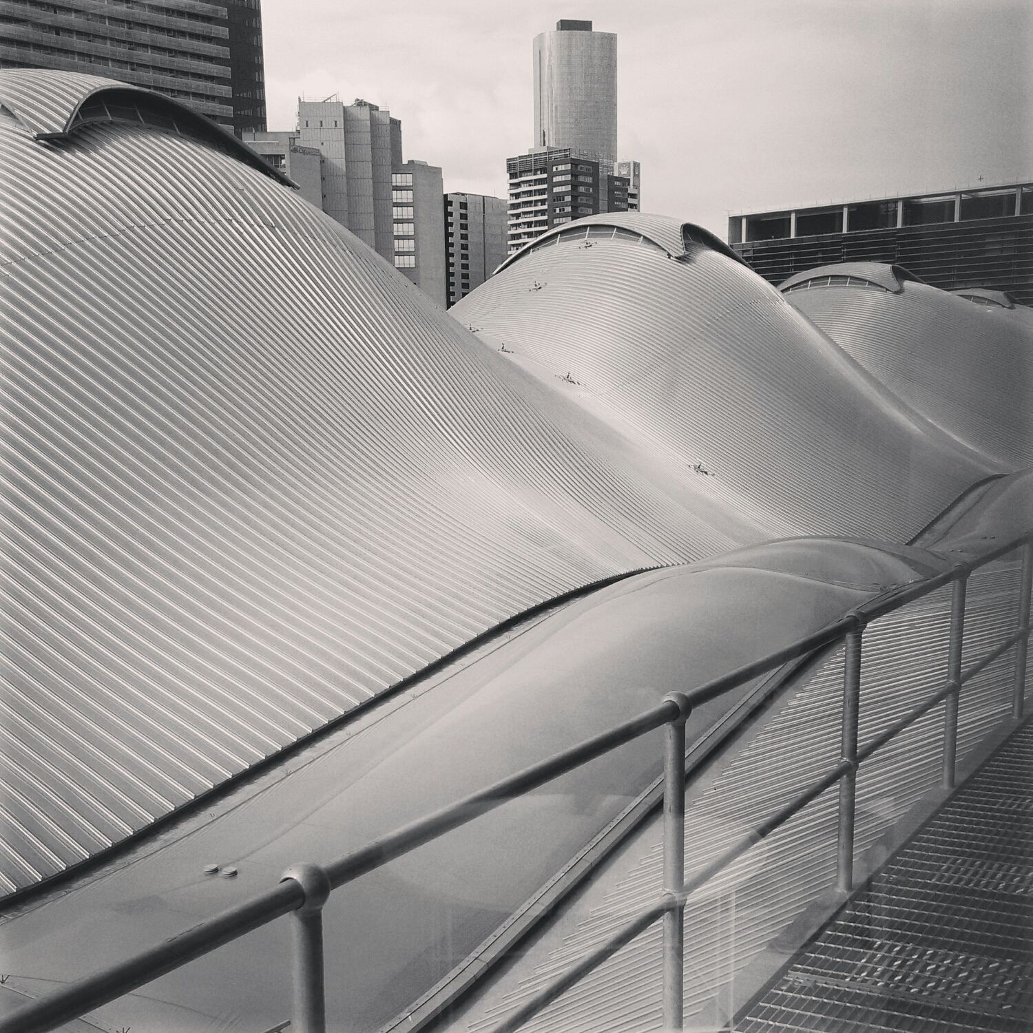 View from AGL.
