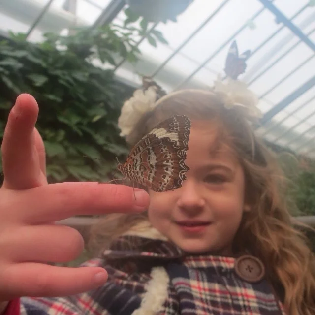8. The Butterfly House, Melbourne Zoo A glasshouse full of butterflies is pretty remarkable. Wear bright colours and try to sit or stand still to make some new friends. It's a fantastic spot to hang out on on cold day as it's always warm and humid in there. 