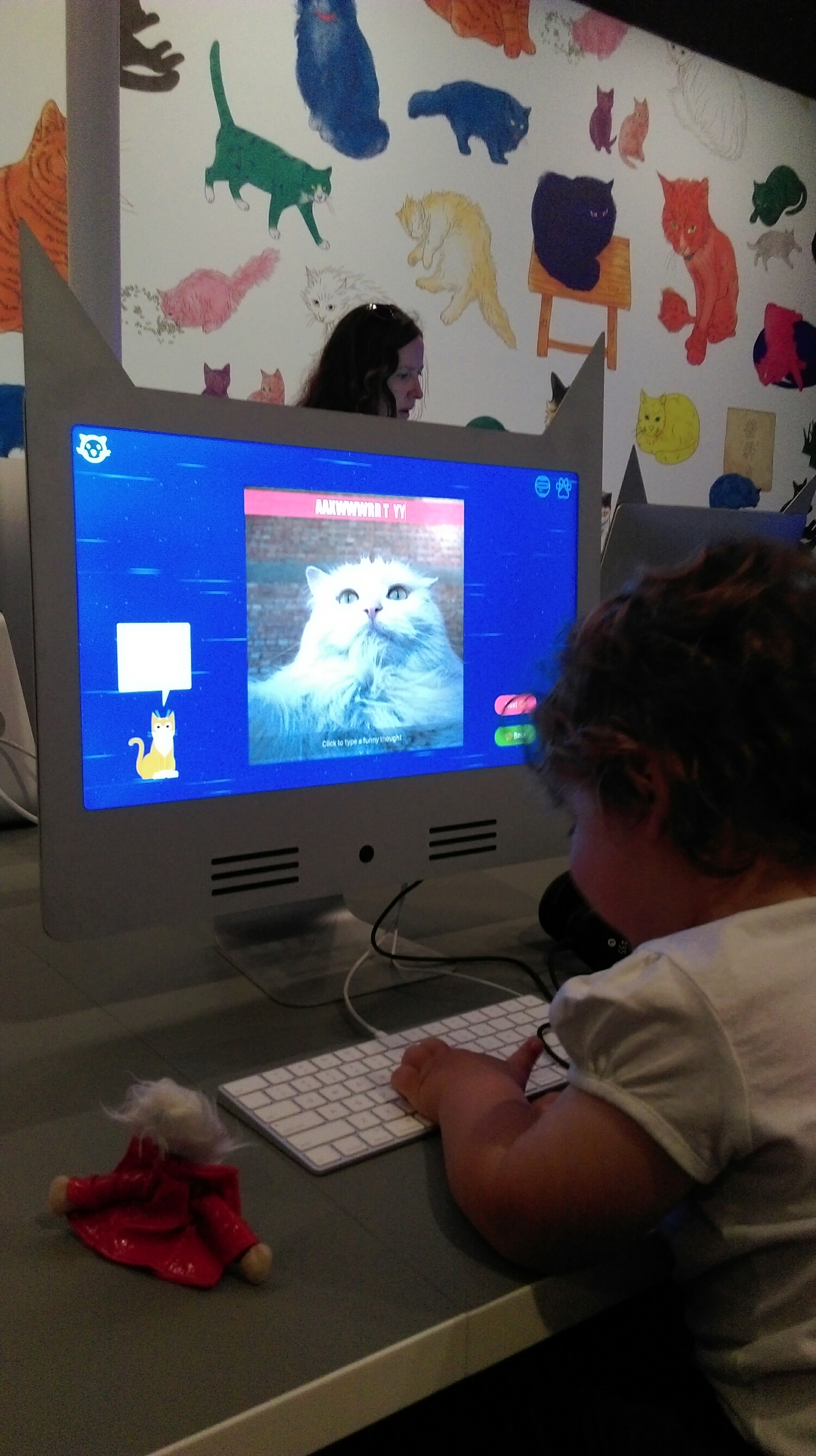 Create some cat memes to share.