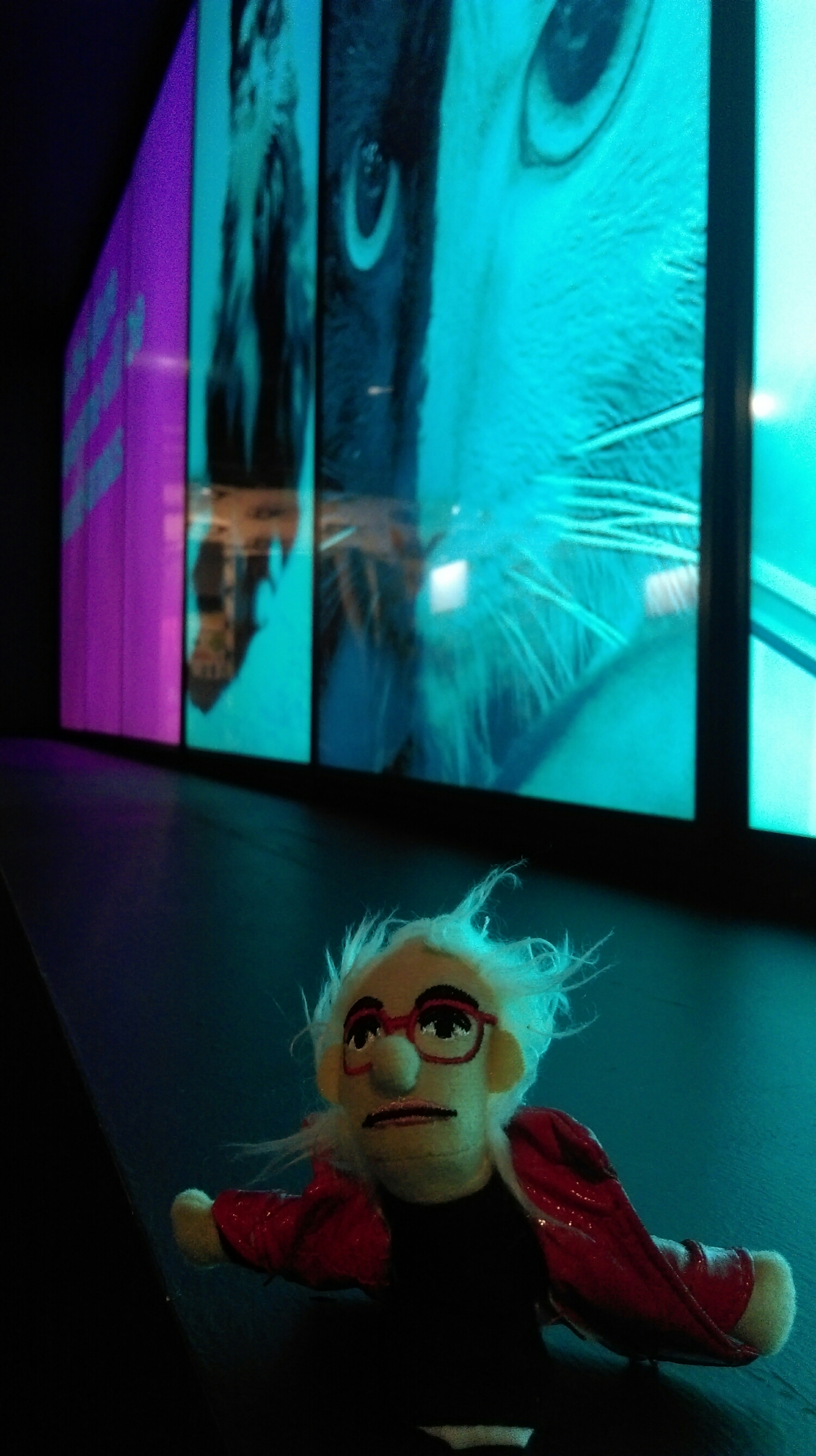 The latest kid's space is 'Studio Cats' and has all sorts of fun things to explore...