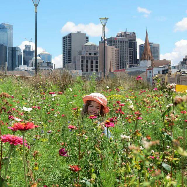 Birrarung Marr. This shot was taken in the wild flowers that run along the Flinders Street side but there is plenty more to discover. Art Play runs free workshops for kids, the playground is fantastic and there are great views of the river and the city. There are always events here on the weekends that can be fun too.