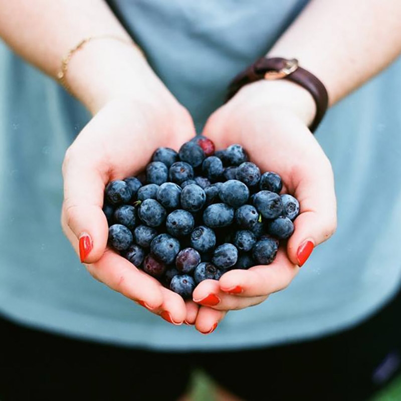 Feb Crop Swap-sq.jpg