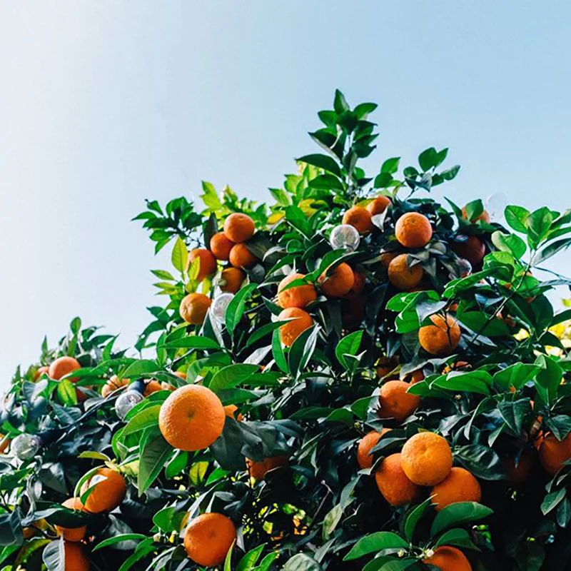 May Crop Swap-sq.jpg