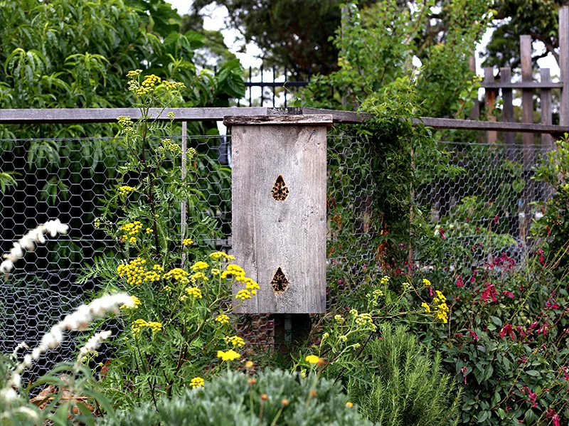 pocketcityfarms_thefarm_bees.jpg