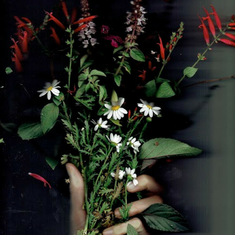 flowers_sq.png