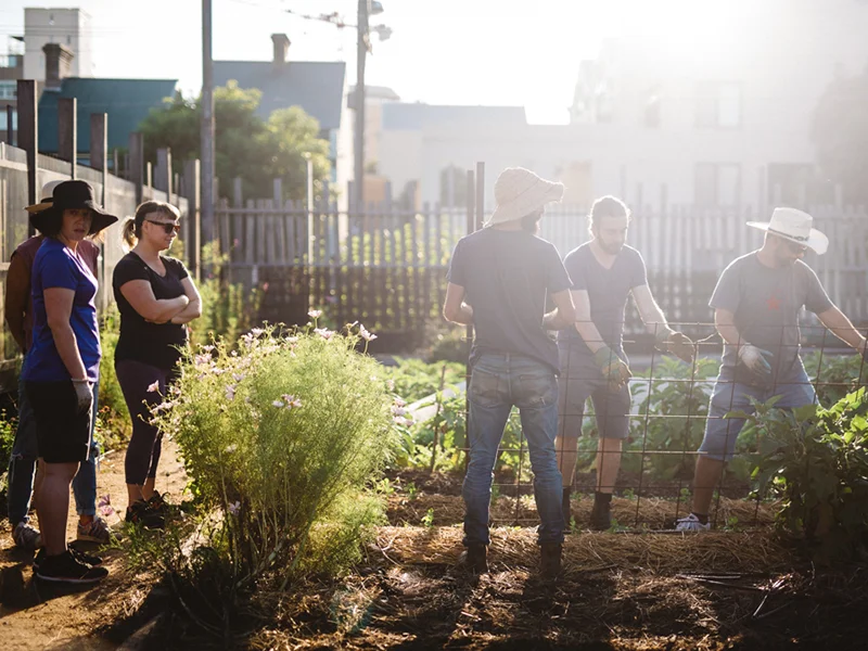 Team Retreats Rate Card — Pocket City Farms