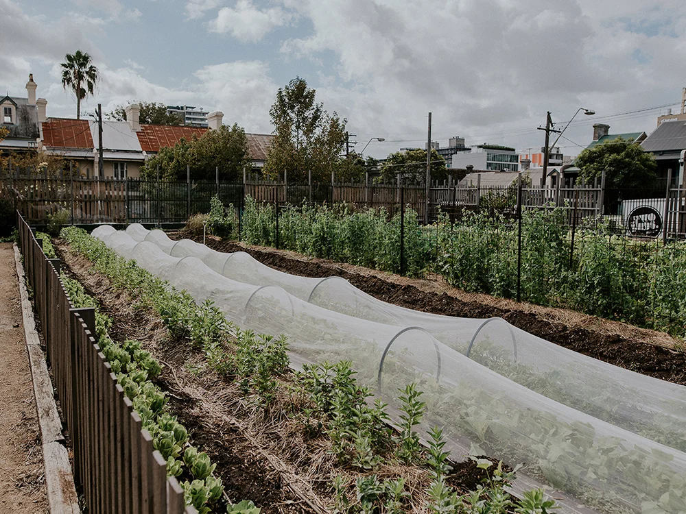 About our Spaces — Pocket City Farms