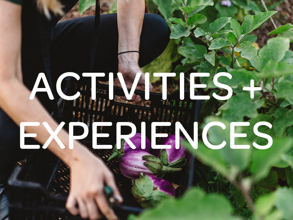 activities-experiences.jpg