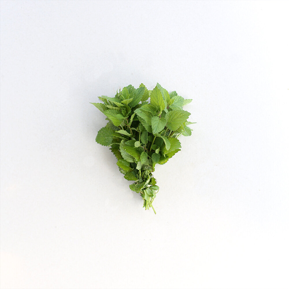 pcf-lemon-balm.jpg