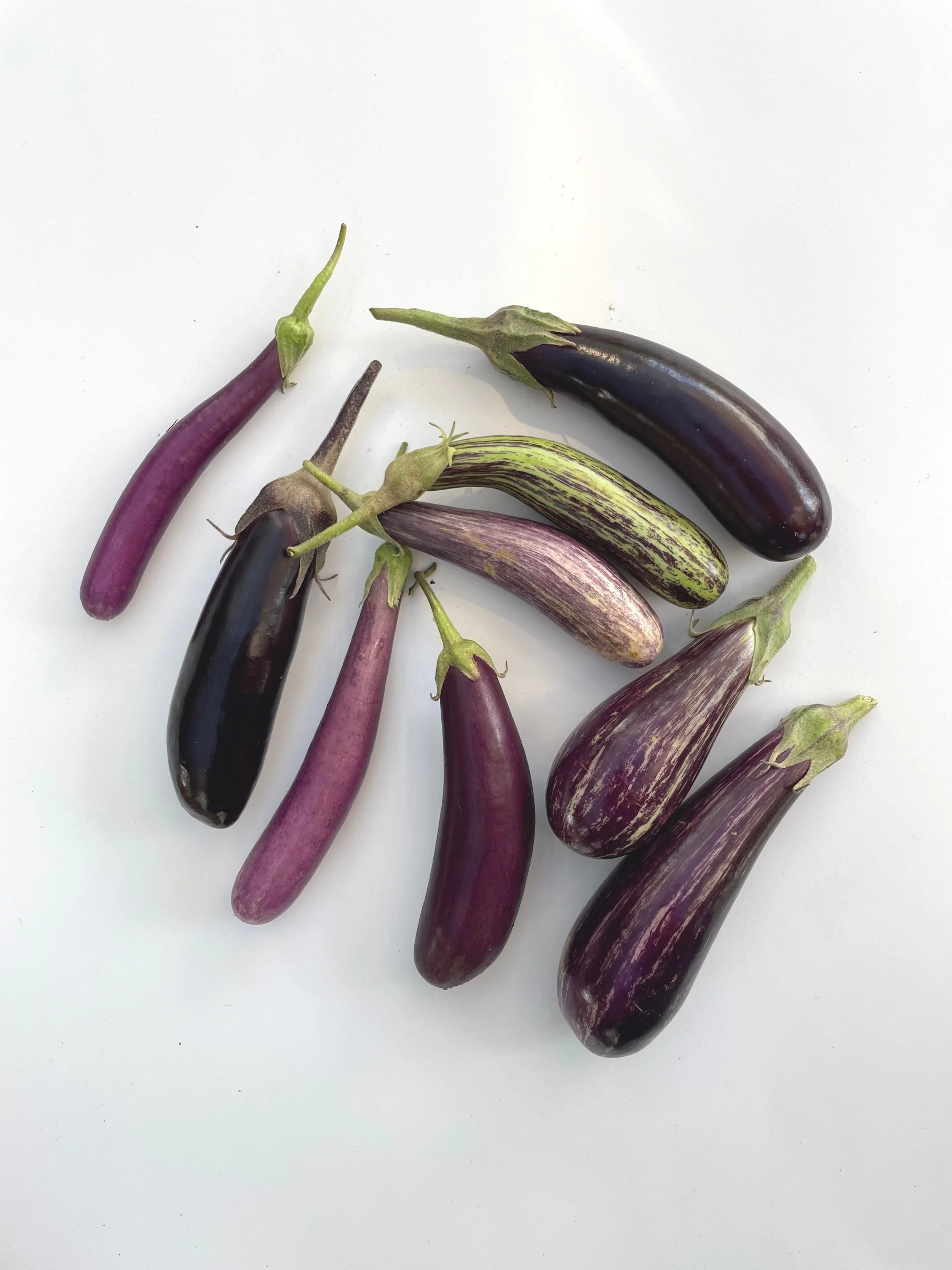 EGGPLANT // 1kg BABY EGGPLANT