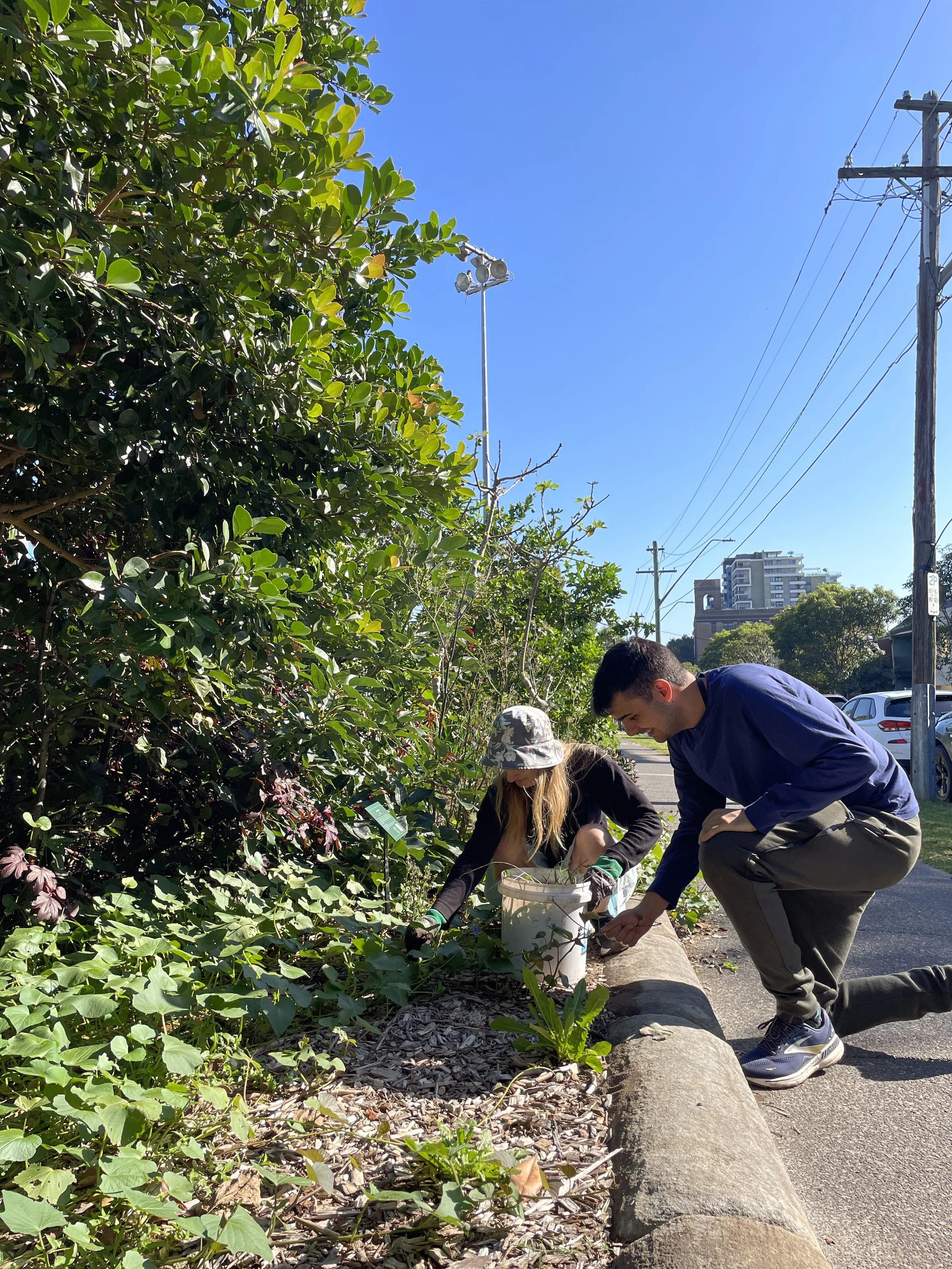 SATURDAY MORNING VOLUNTEERING  (Every Second Week)