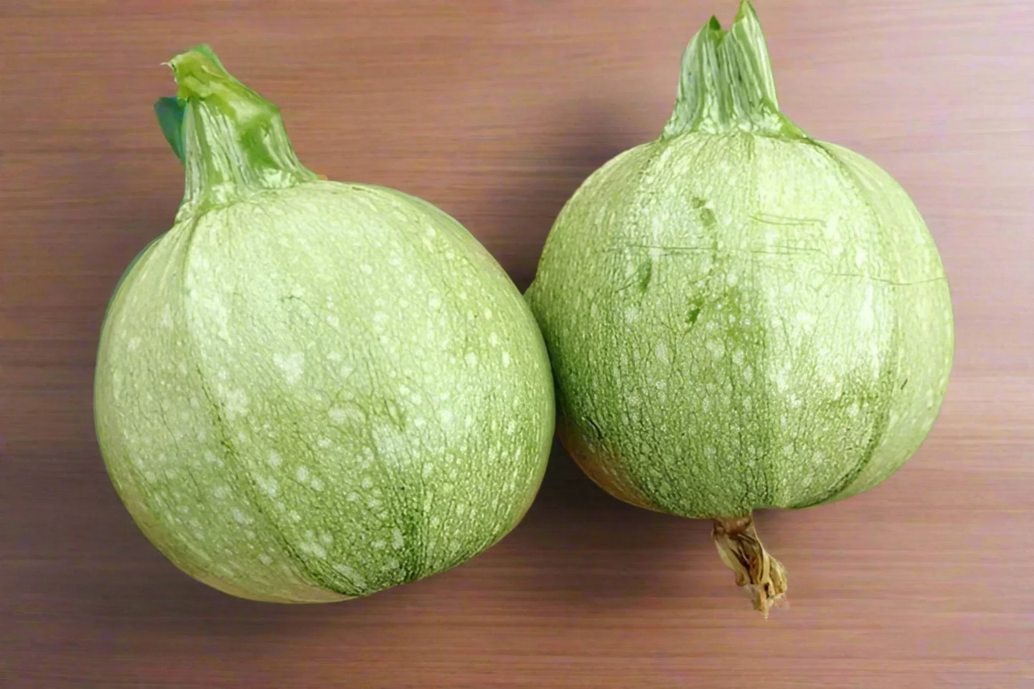 Zucchini_ronde.webp