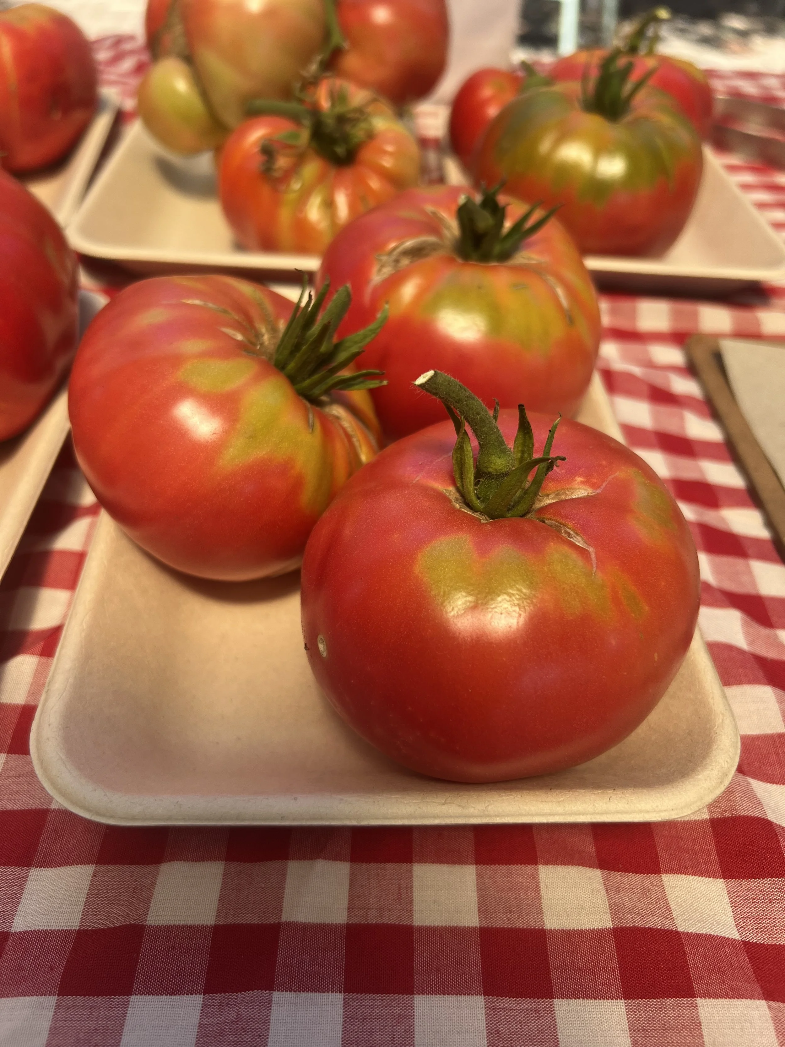 Tomato 1.jpg