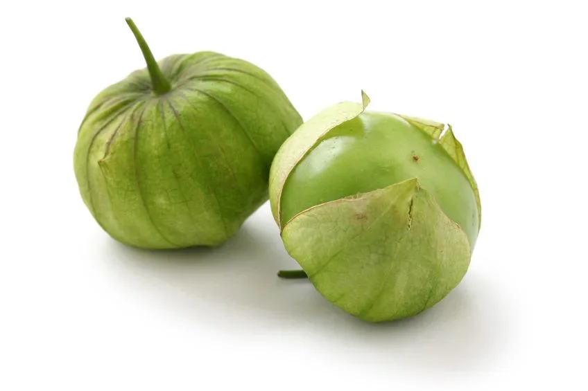 TOMATILLO