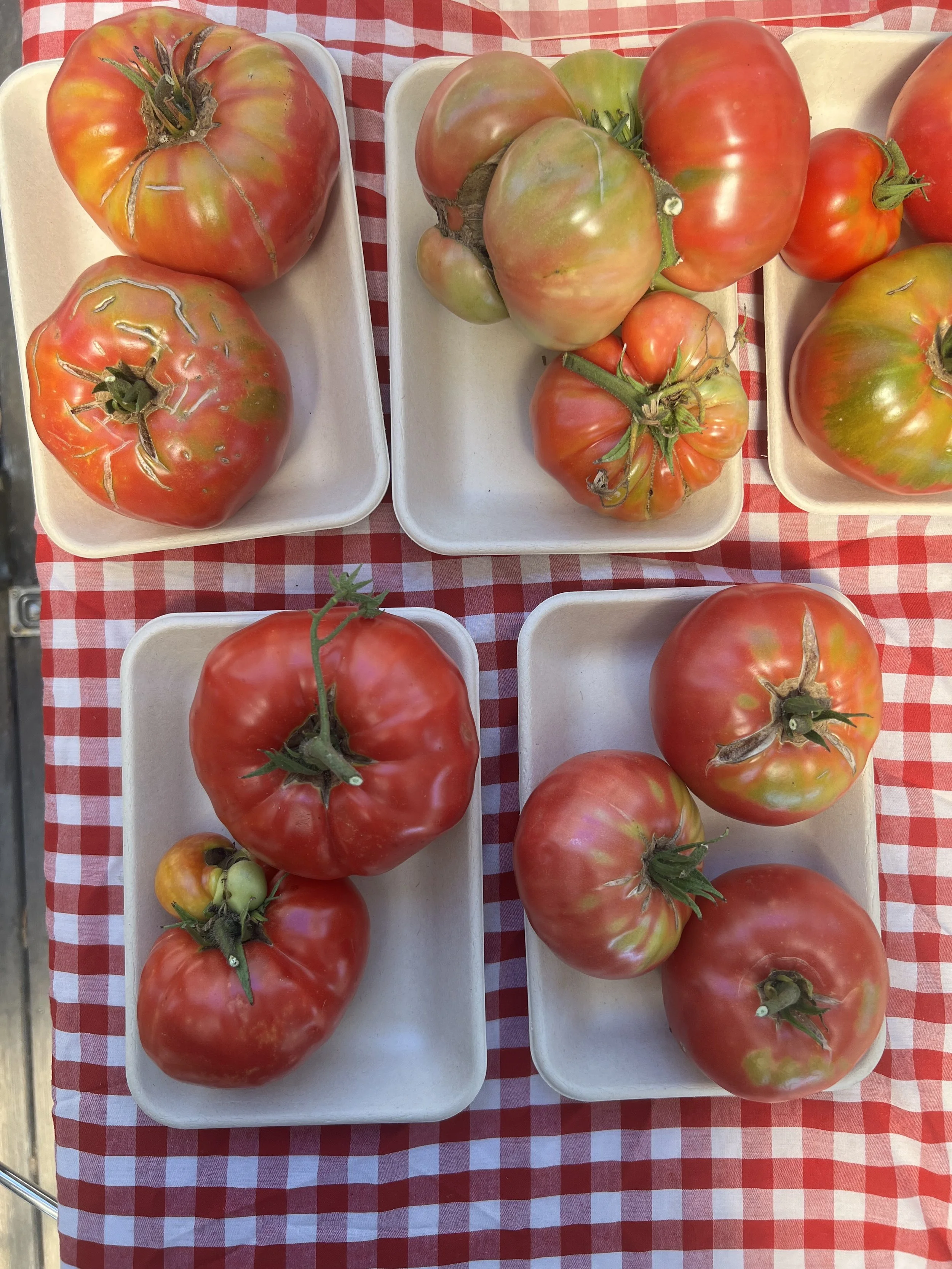 Tomato 2.jpg
