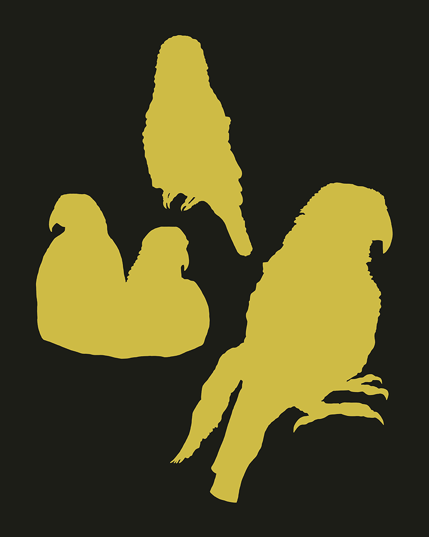 5fb91af5-3b41-465e-92ee-5f7ff4ebcfbb_rw_1200.png