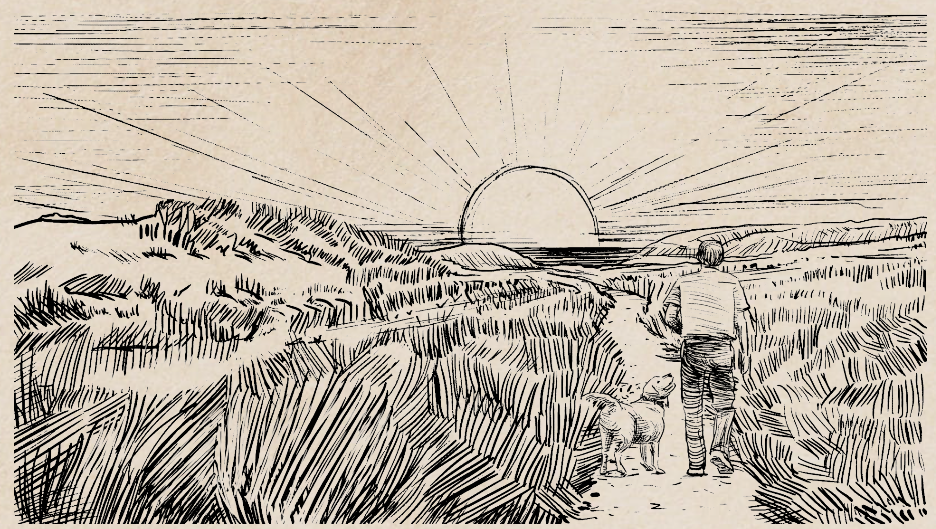 da6e964c-b513-4b1e-8695-d4d072172e82_rw_1920.png
