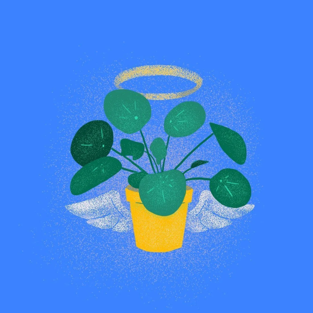 06. Leaves 🍃
.
In memoriam of all the fallen leaves out there. My pilea peperomiodis was gone too soon for this world and is now growing large in botanical heaven. Having plants is like having children in the Dark Ages &ndash; have as many as you ca