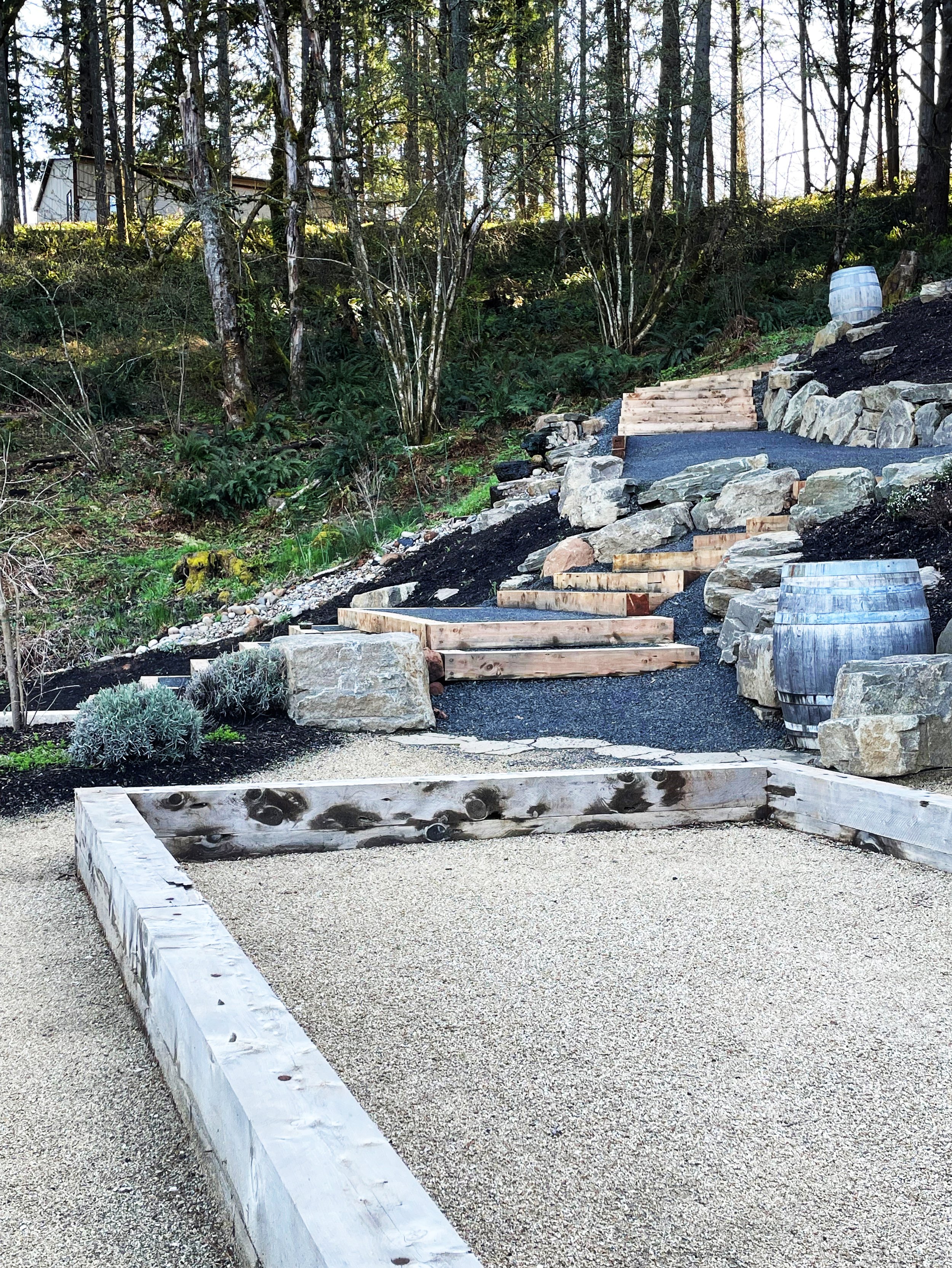 side yard.jpg