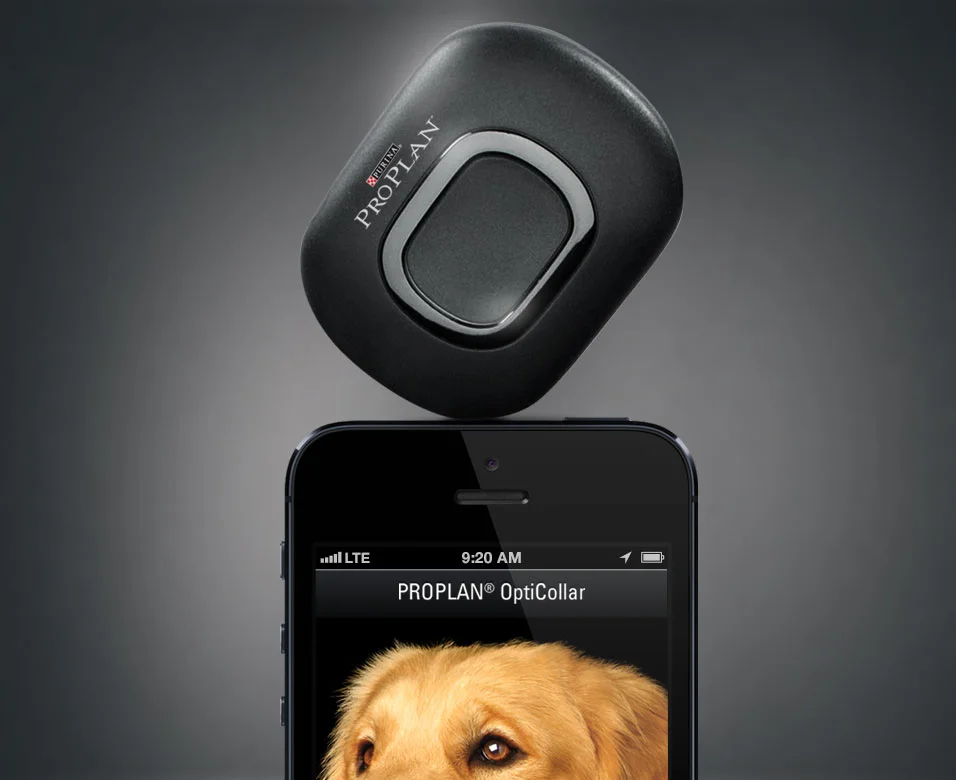 PROPLAN_cover_956x780px.jpg