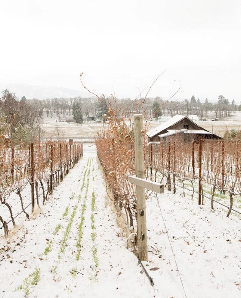 Holiday Market at COR Cellars