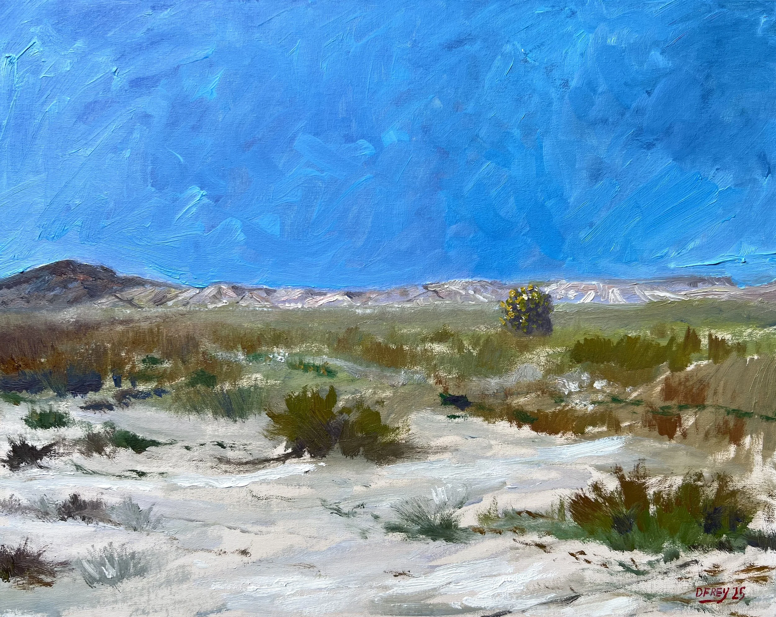 California Desert