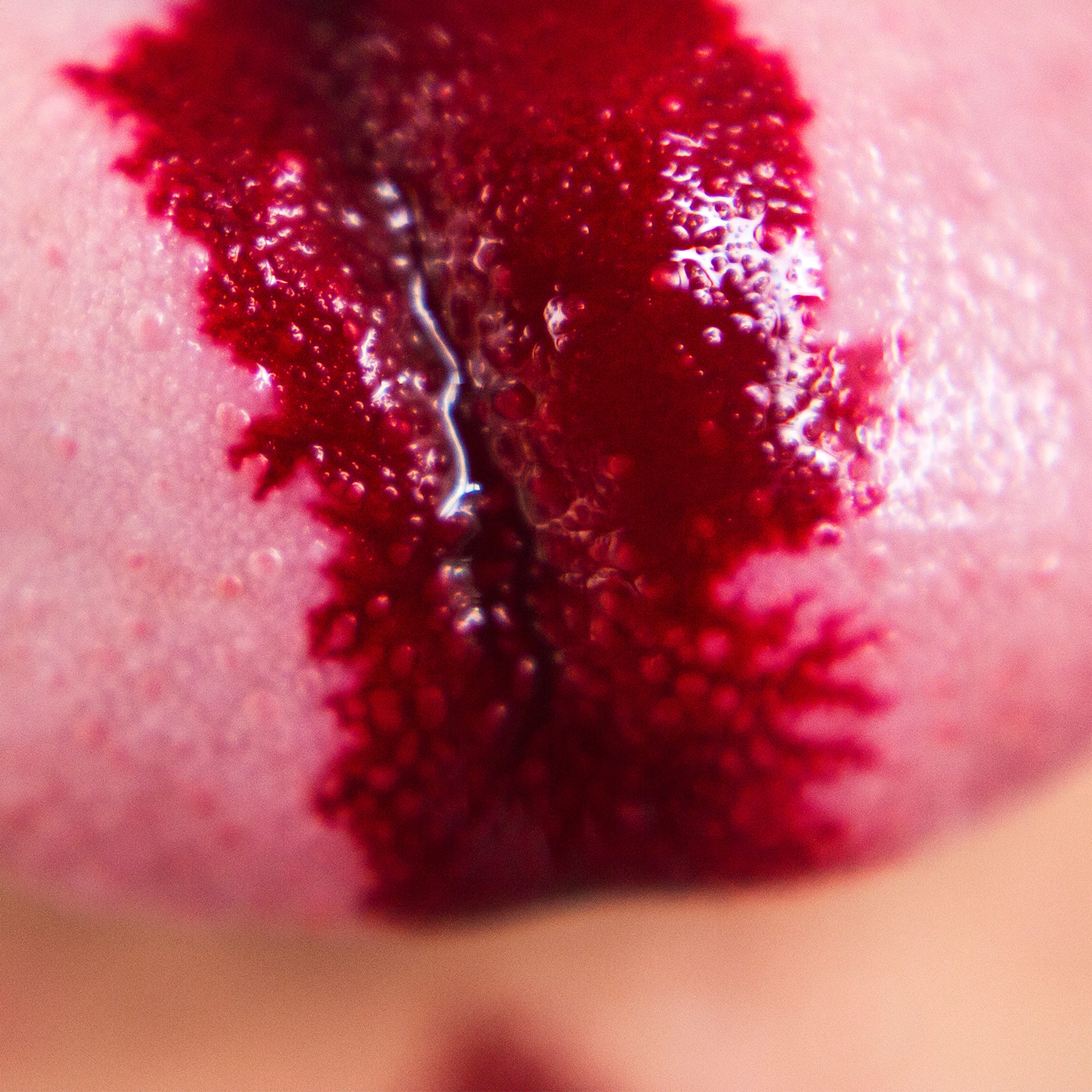 tongue1.jpg