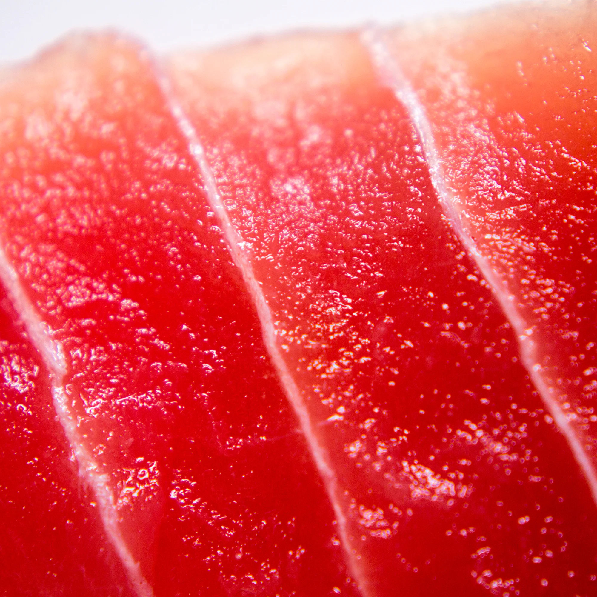 tuna.jpg