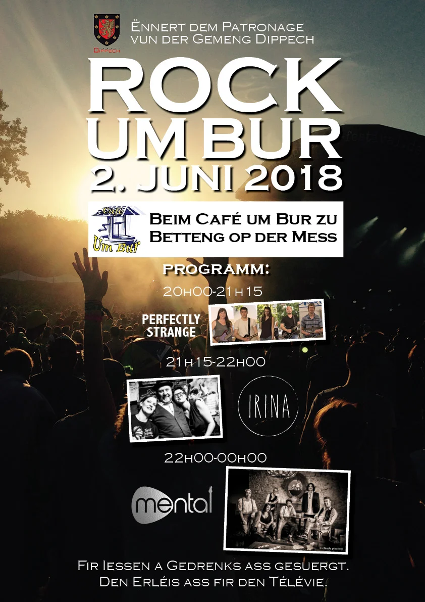 Plakat-Rock um Bur-A3-1.jpg