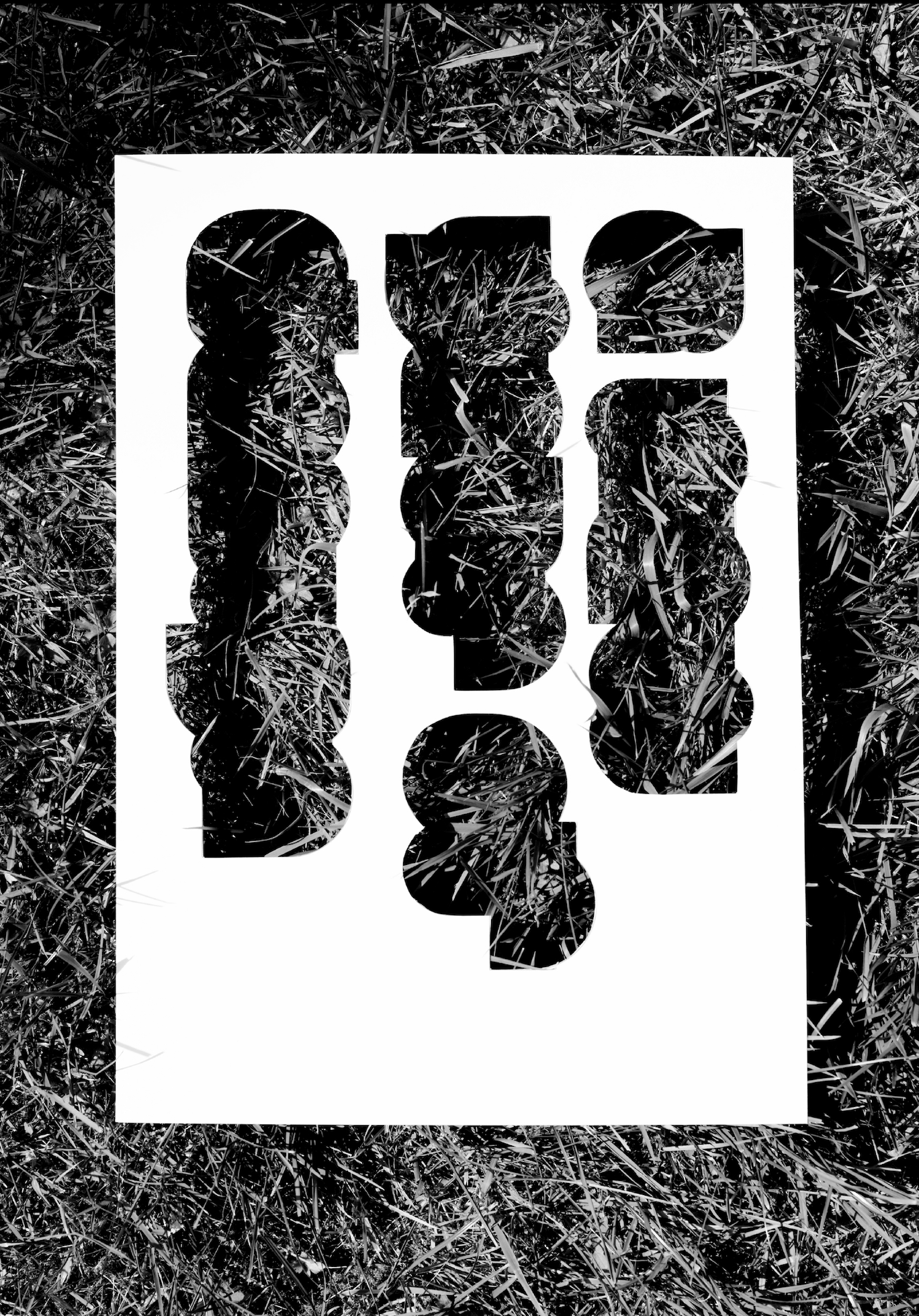 LR_aNYoD 30.06.2026 - 150.png