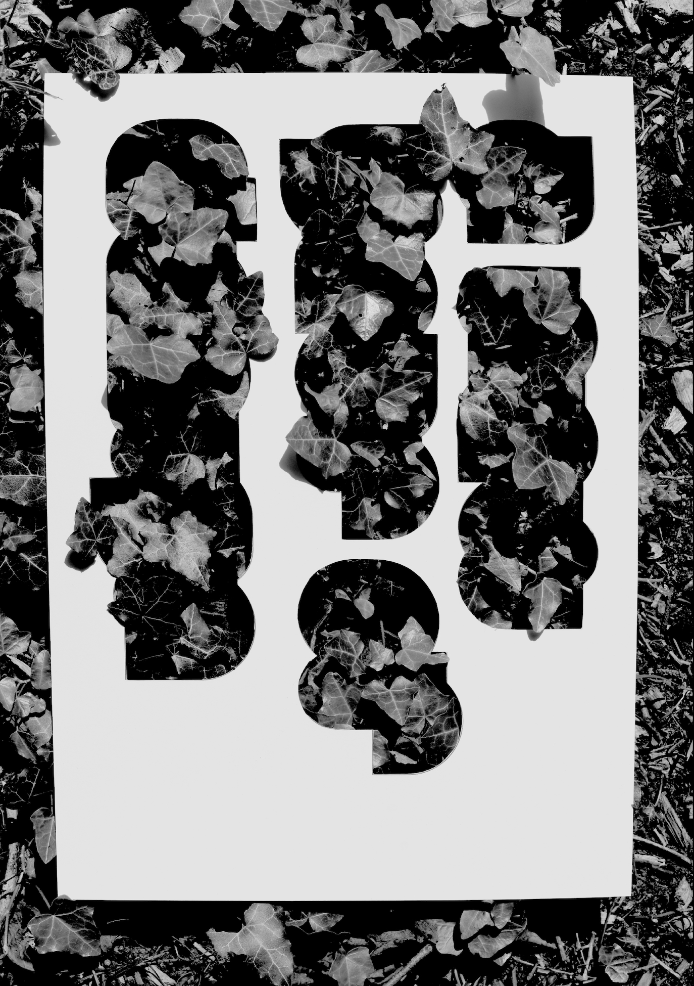 LR_aNYoD 27.06.2026 - 147.png