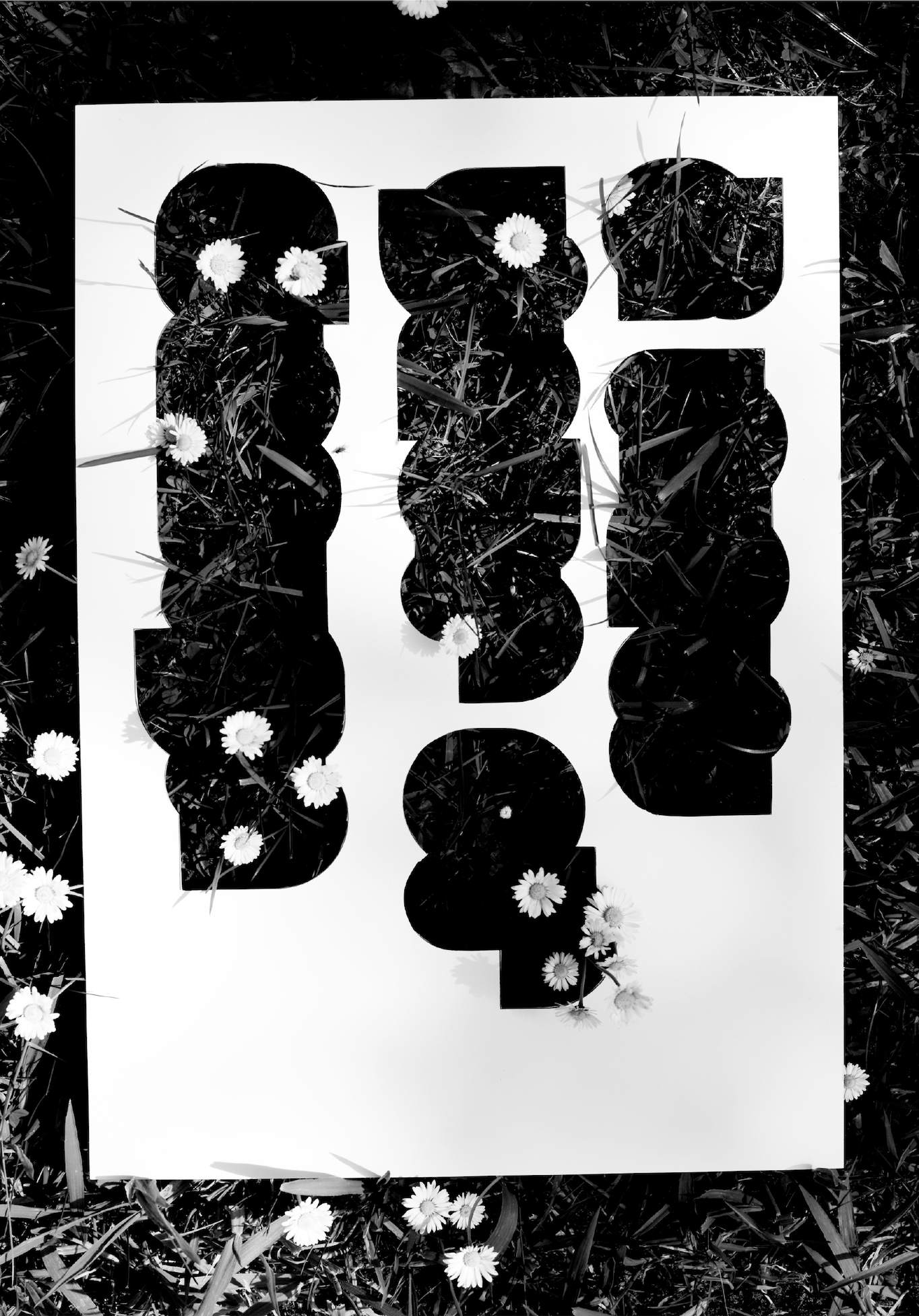 LR_aNYoD 29.06.2026 - 149.png