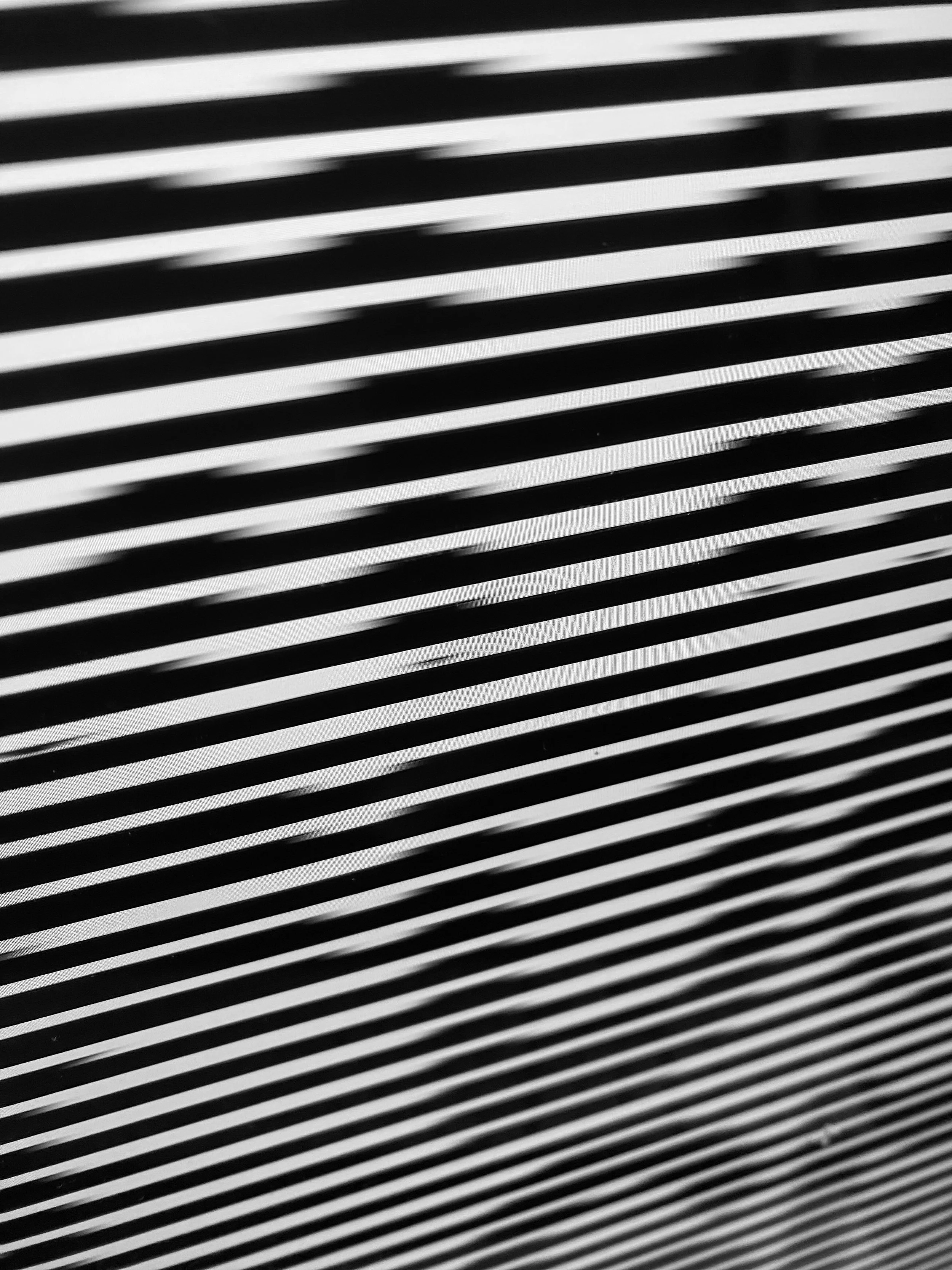 IMG_4296.jpeg