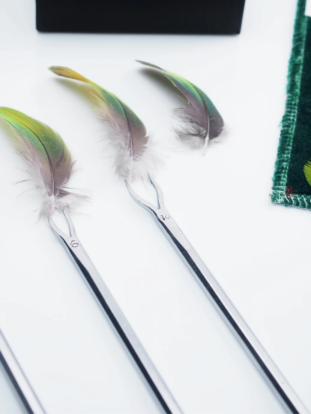 SaccoBaret_Parrot_tools_web.jpg