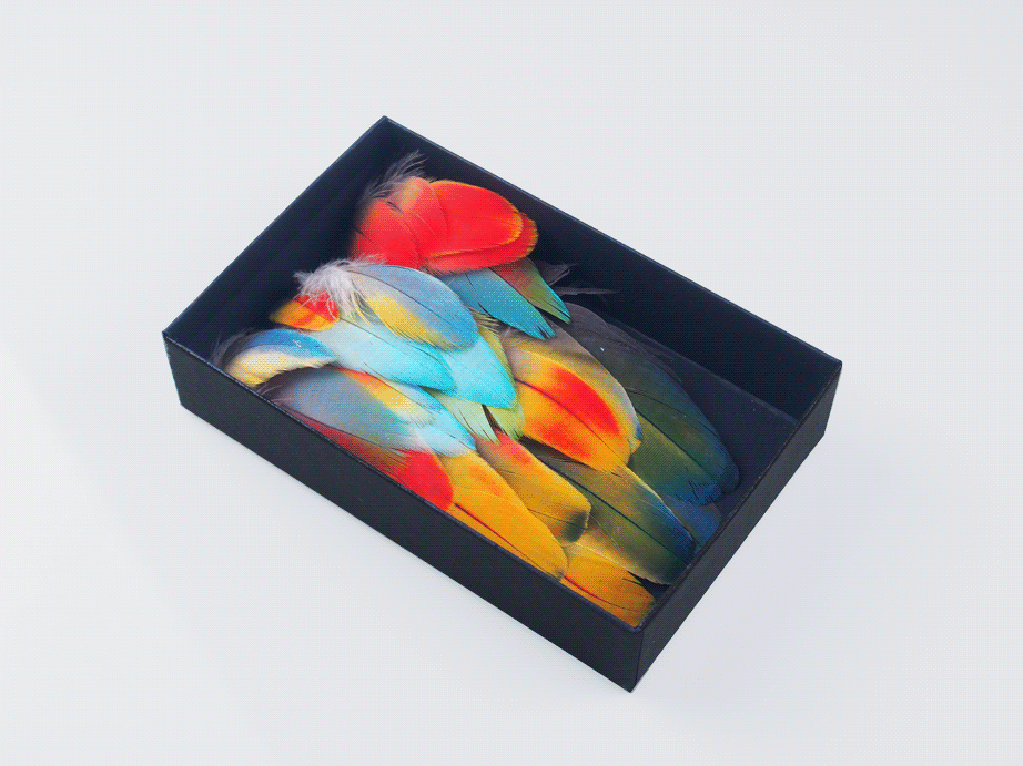 Saccobaret_FeatherBox_animation1.gif