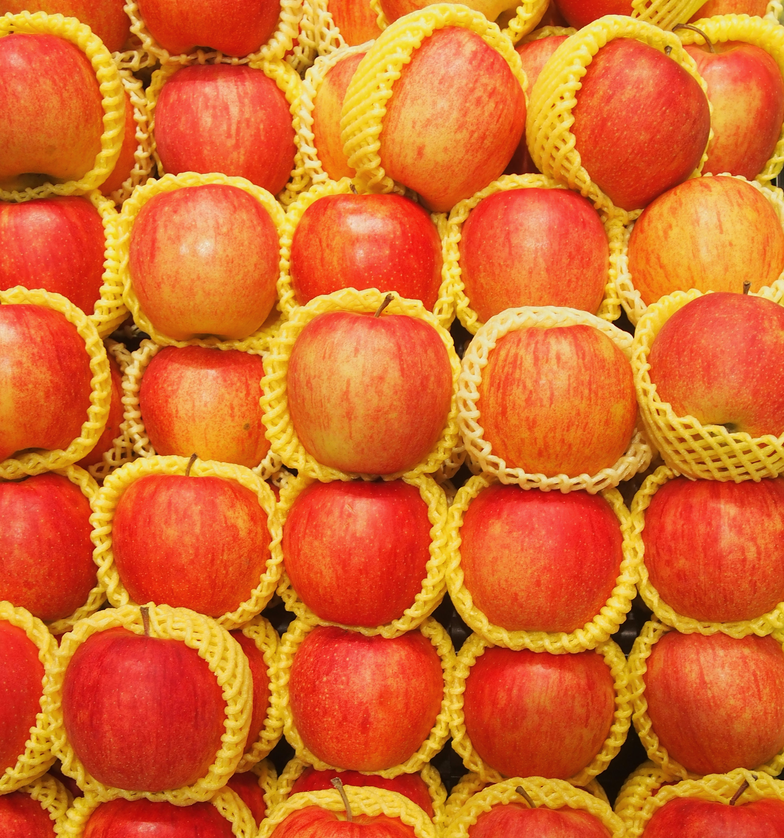 SaccoBaret-Japan-travel-diary-apple.jpg