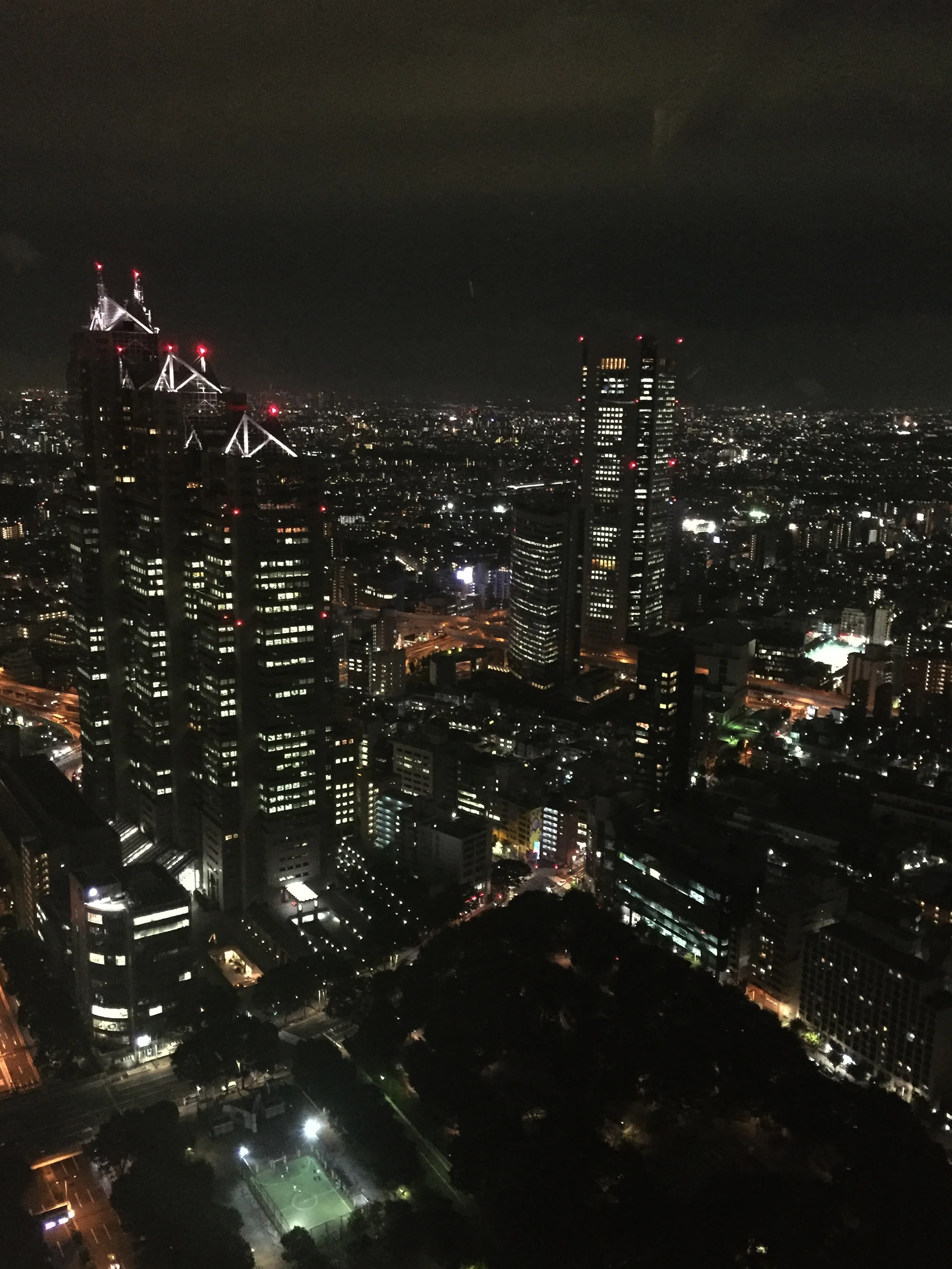 SaccoBaret-Japan-travel-diary-tokyolong.jpg