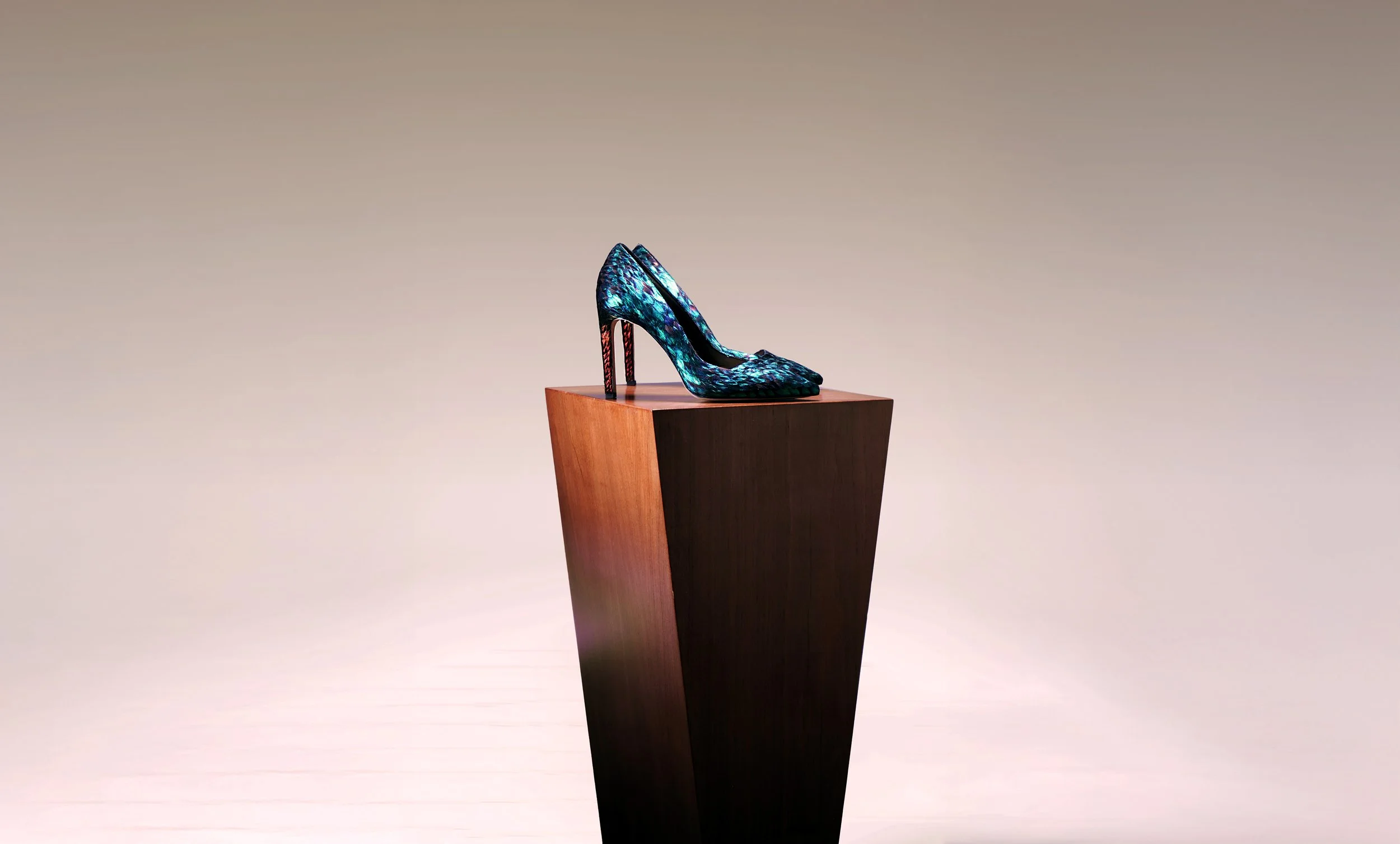 SACCOBARET_PUMP_LOPHOPHORE_1INTRO WEB.jpg