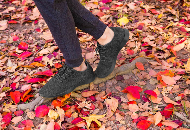 Challenger to Watch 2017 Allbirds The Challenger Project The Home of Challenger Brands