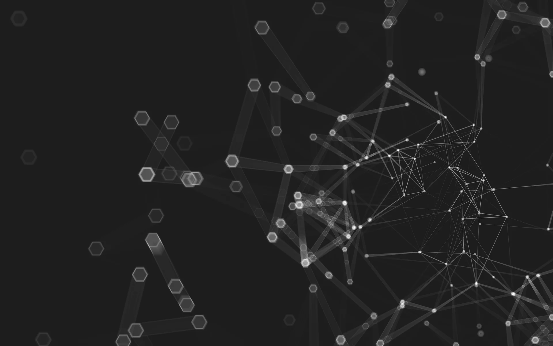 Challenger Brands to Watch 2017