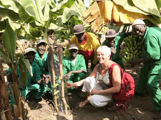 Anita Smith MBE and staff planting banana plants to provide food for patients in need at The Bansang Hospital in The Gambia.