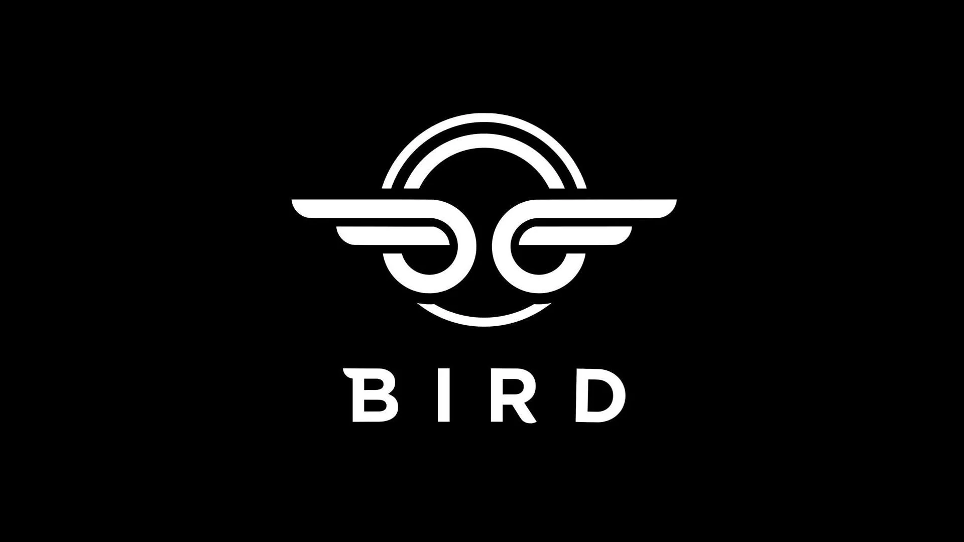 Bird Scooters.jpg