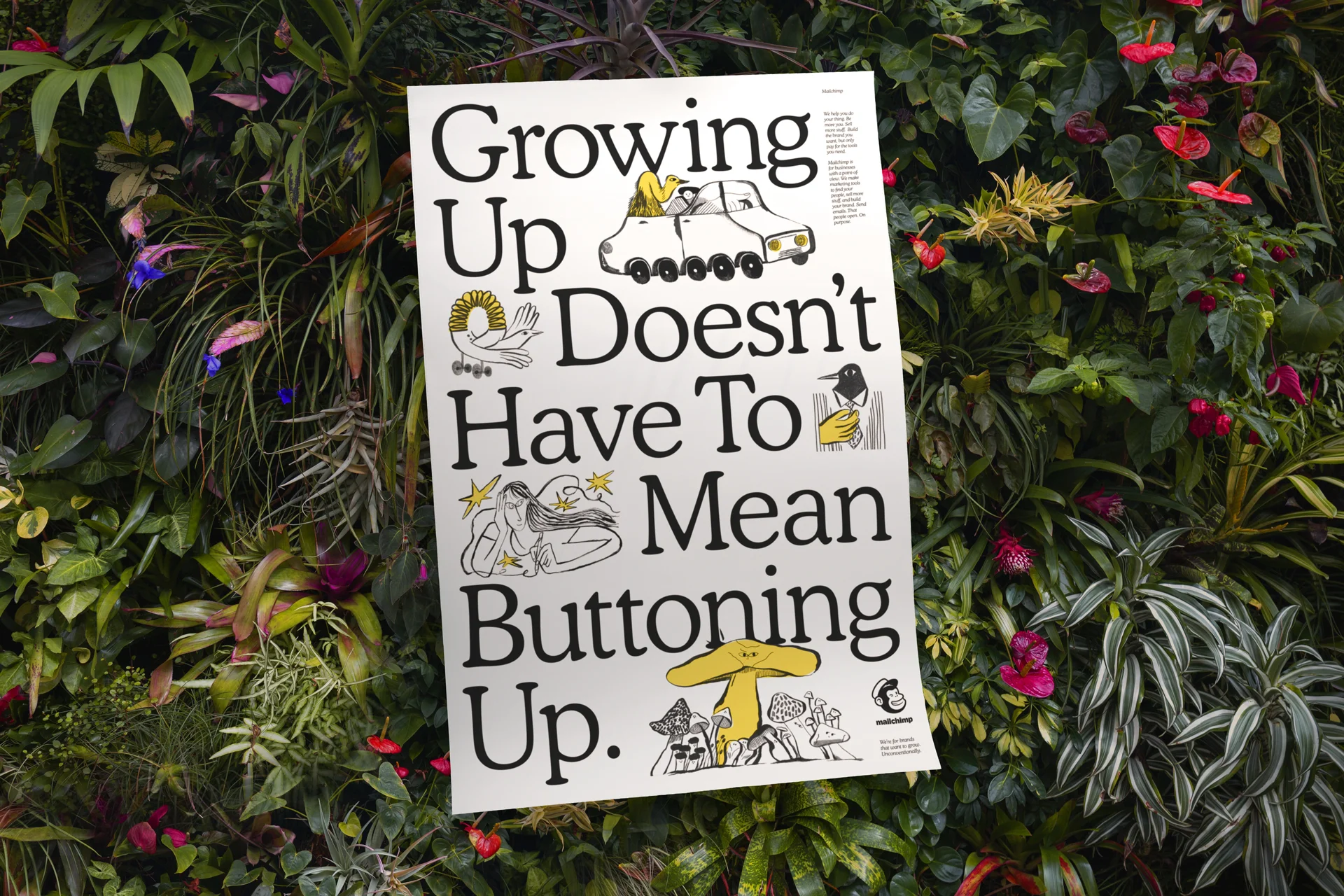 Credit: Mailchimp / Collins